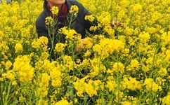 天地争霸美猴王全集高清